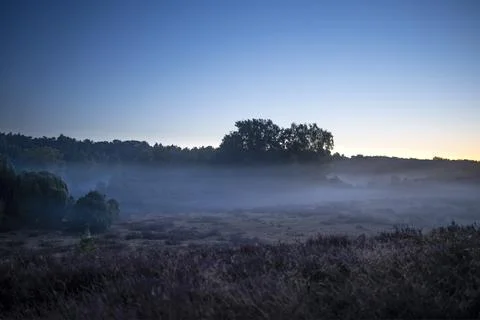 Fog in the heath Foto stock