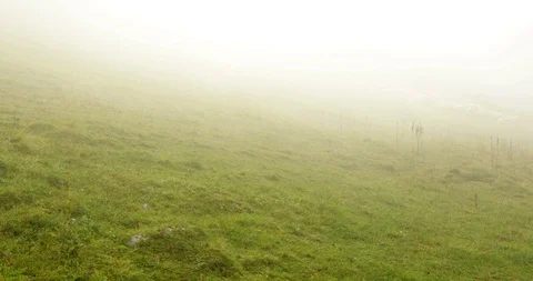 Fog in high mountains Stock Footage 93616576