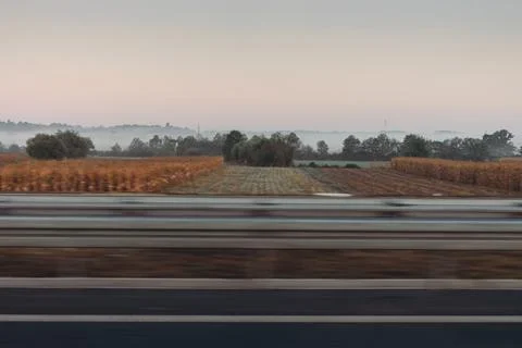 Fog on the highway at dawn 库存照片