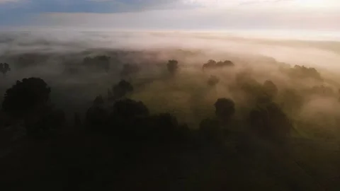 Fog hovering over deciduous forest. Fog illuminated by the sun Stock Footage 161117357