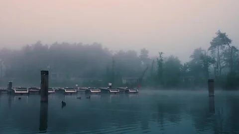 Fog hovering over lake with docked boats at dawn Stock Footage 288242729