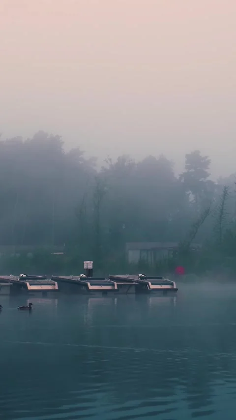 Fog hovering over lake with docked boats at dawn Stock Footage 288242862