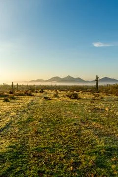 Fog hovering over the mountains of central Arizona with Saguaro cactus Stock Photos