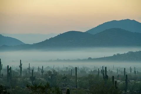 Fog hovering over the mountains of central Arizona with Saguaro cactus Fotos de archivo