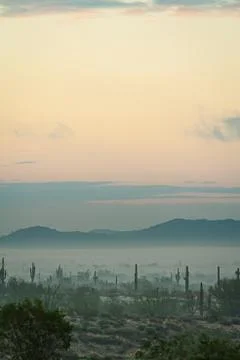 Fog hovering over the mountains of central Arizona with Saguaro cactus 스톡 사진