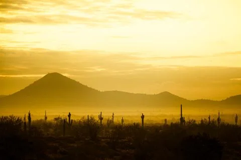 Fog hovering over the mountains of central Arizona with Saguaro cactus Stock Photos