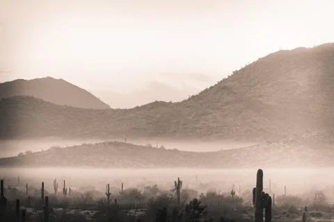 Fog hovering over the mountains of central Arizona with Saguaro cactus Stock Photos