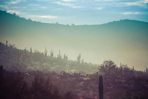 Fog hovering over the mountains of central Arizona with Saguaro cactus 写真素材
