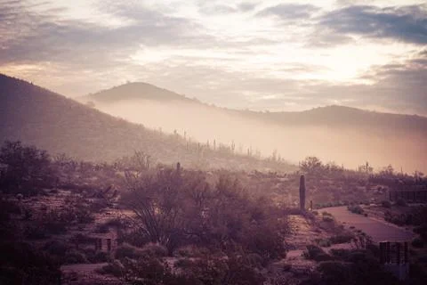 Fog hovering over the mountains of central Arizona with Saguaro cactus Stock-Fotos
