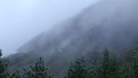Fog on the Ihwaryeong Mountainside Stock Footage 329490241