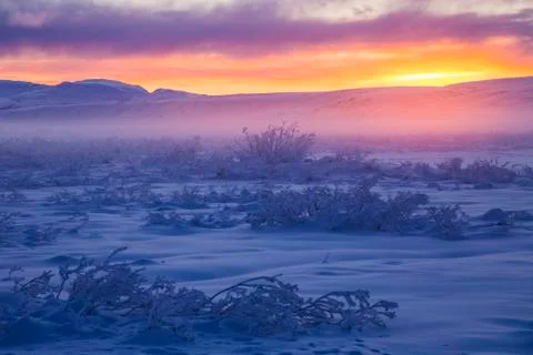 Fog Is Illuminated At Sunset On A Subzero Winter Day At Isabel Pass Along The Ri Stock-Fotos