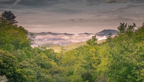 Fog Inversion in Mountain Valley Stock Photos