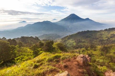 Fog in java landscapes Stock Photos