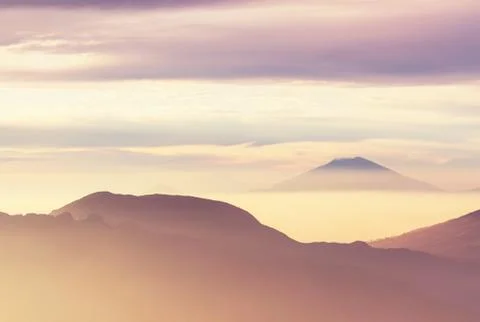 Fog in java landscapes Stock Photos