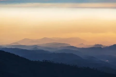 Fog in java landscapes Stock Photos