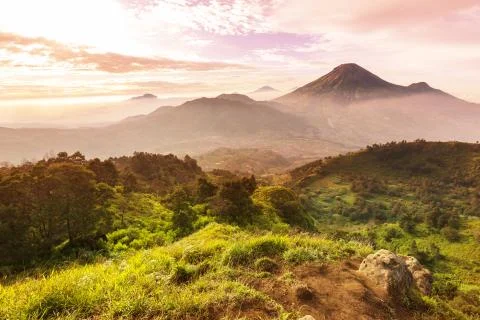 Fog in java landscapes Stock Photos