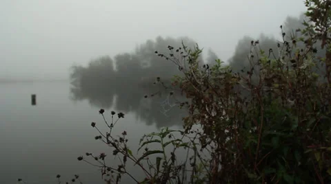 Fog on lake (10).mp4 Stock Footage 31973044