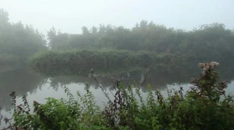 Fog on lake (2).mp4 Stock Footage 31974155
