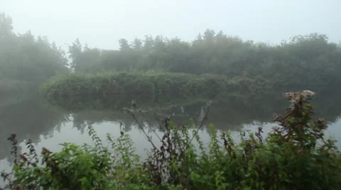 Fog on lake (3).mp4 Stock Footage 31946292