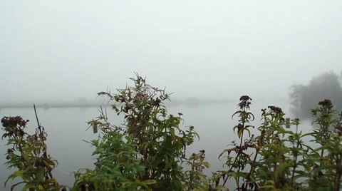 Fog on lake (5).mp4 Stock Footage 31975501