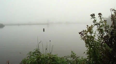 Fog on lake (6).mp4 Stock Footage 31975211