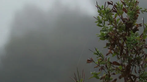 Fog on lake (8).mp4 Stock Footage 31974591