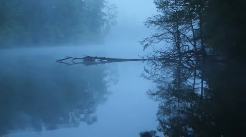 Fog on Lake Stock Footage 2974204