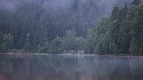 Fog on the lake Stock Footage 43226539