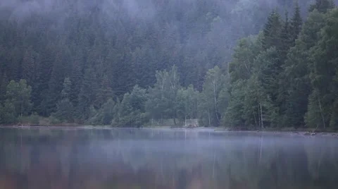Fog on the lake Stock Footage 43226566