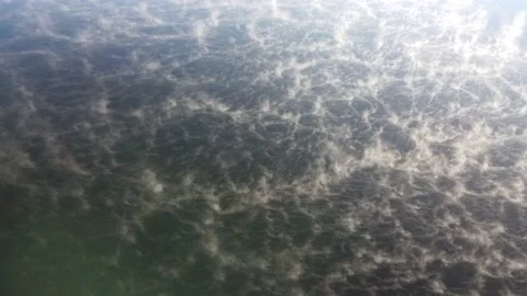 Fog on the Lake 스톡 동영상 220309082