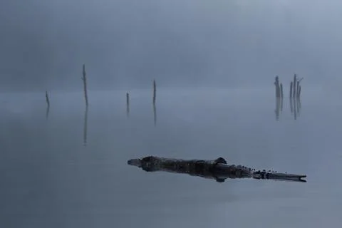 Fog on the lake Stock Photos
