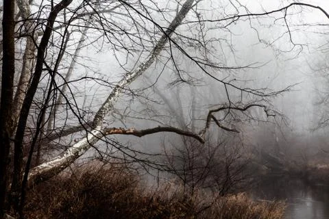 Fog Lake Stock Photos