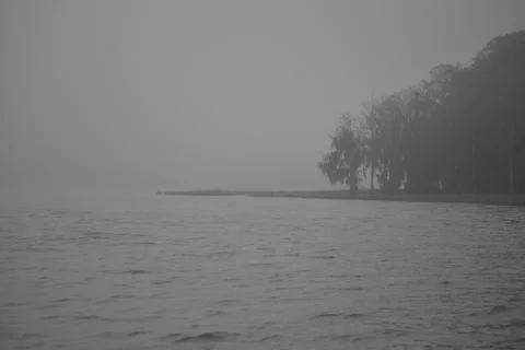 Fog on a Lake Stockfoto's
