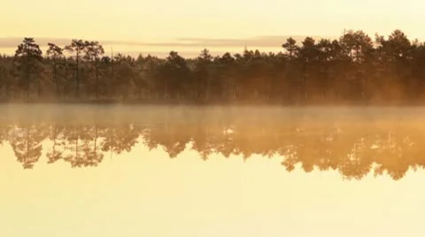 Fog on the lake at sunrise Stock Footage 10586672