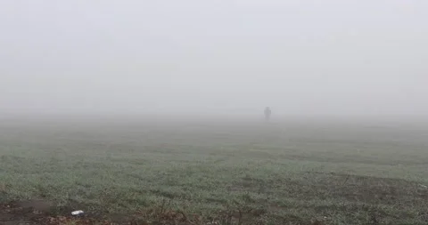 Fog landscape. Man walking alone on scary foggy misty road. Stock Footage 166270884