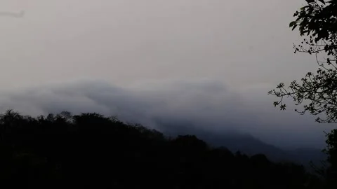 Fog, landscape, nature, Scenic Stock Footage 181920598