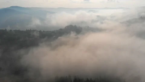 Fog Layer over Slopes of Ukrainian Carpathian Mountains 스톡 동영상 135859060