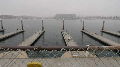 Fog Marina Timelapse Dolly 1 Stock Footage 1042380