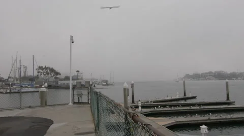 Fog Marina Timelapse Dolly Stock Footage 1042334