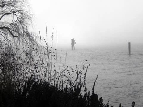 Fog marsh Stock Photos