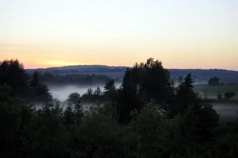 Fog in the meadow Stock Photos