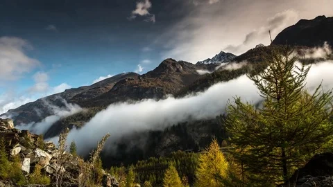 Fog mingling amidst the trees on mountains with green bushes in the foreground Stock Footage 77549930