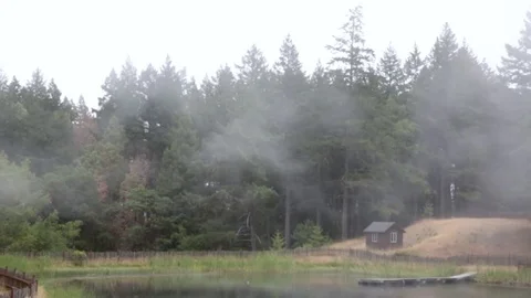Fog misting over trees in rural scene with lake and small shed Video stock 79549803