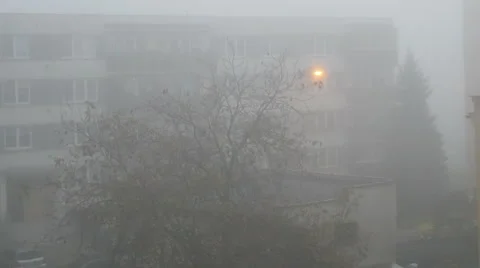 Fog In the Morning Stock Footage 42586526