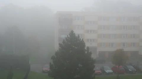 Fog In the Morning Stock Footage 42586657