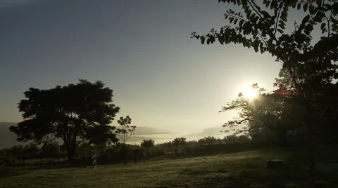 Fog Morning Vidéo 55647919