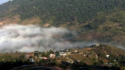 Fog in morning.	 Stock Footage 86050774