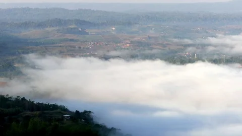 Fog in morning.	 Stock Footage 86051035