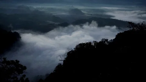 Fog in morning. Stock Footage 102373374