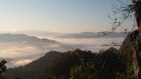 Fog in morning Stockbeeldmateriaal 102499400